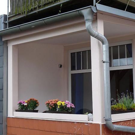 Ferienwohnung Schleussig Leipzig Eksteriør billede
